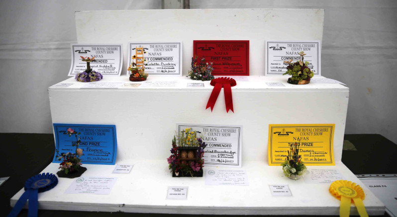 Entries in Bees and Butterflies are Forever class at the 2023 Royal Cheshire Show, incorporating the Cheshire Area Show in the Theatre of Flowers