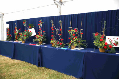 Entries in the Picture This class at the 2023 Royal Cheshire Show, incorporating the Cheshire Area Show in the Theatre of Flowers