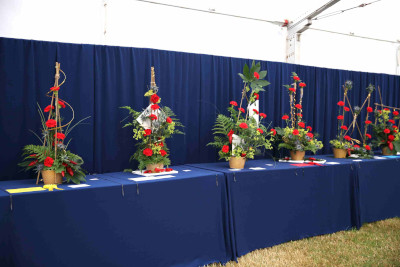 Entries in the Picture This class at the 2023 Royal Cheshire Show, incorporating the Cheshire Area Show in the Theatre of Flowers