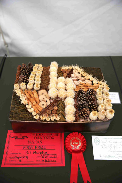 A Special Award Winner at the 2023 Royal Cheshire Show, incorporating the Cheshire Area Show in the Theatre of Flowers