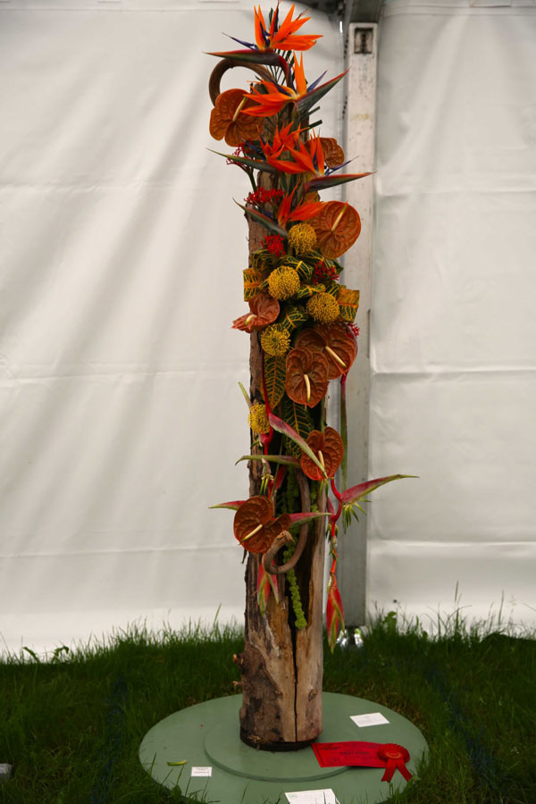A Flower Clubs of Cheshire  entry in the All Things Bright and Beautiful class of the Royal County Cheshire Show 