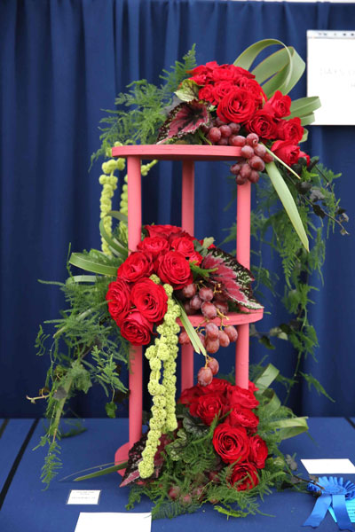 An entry in the 2024 Royal Cheshire Show, incorporating the Cheshire Area Show in the Theatre of Flowers