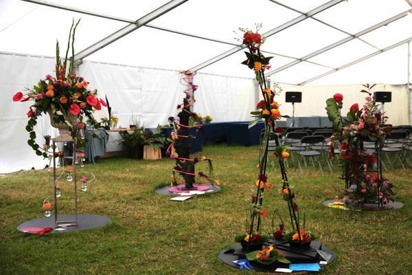 Flower Clubs of Cheshire  entries in the Back to the Future class of the Royal County Cheshire Show 