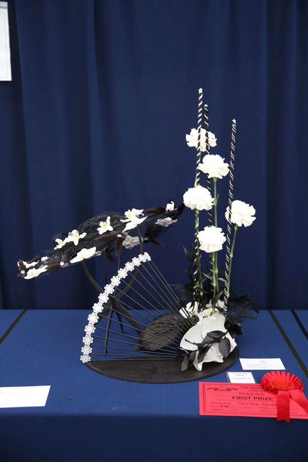 An entry in the My Fair Lady class class at the 2024 Royal Cheshire Show, incorporating the Cheshire Area Show in the Theatre of Flowers