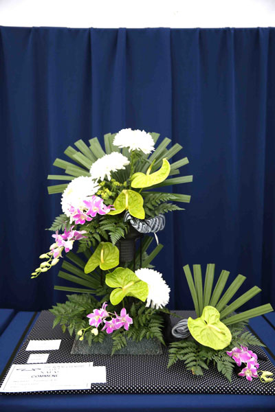 An entry in the 2024 Royal Cheshire Show, incorporating the Cheshire Area Show in the Theatre of Flowers