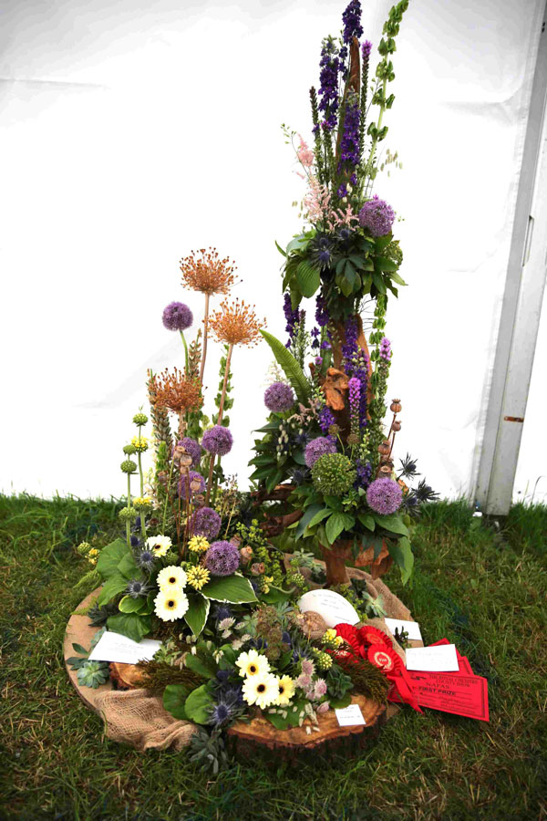 An entry in the Evolution class at the 2024 Royal Cheshire Show, incorporating the Cheshire Area Show in the Theatre of Flowers