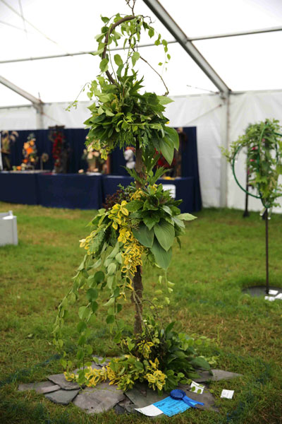 A Flower Clubs of Cheshire  entry in the Simply Green class of the Royal County Cheshire Show 