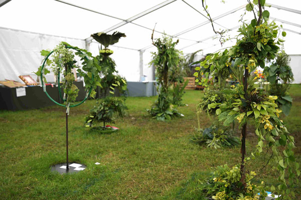 Flower Clubs of Cheshire  entries in the Simply Green class of the Royal County Cheshire Show 