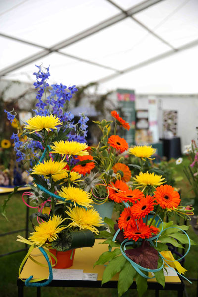 A Flower Clubs of Cheshire  entry in the Summer Holiday class of the Royal County Cheshire Show 