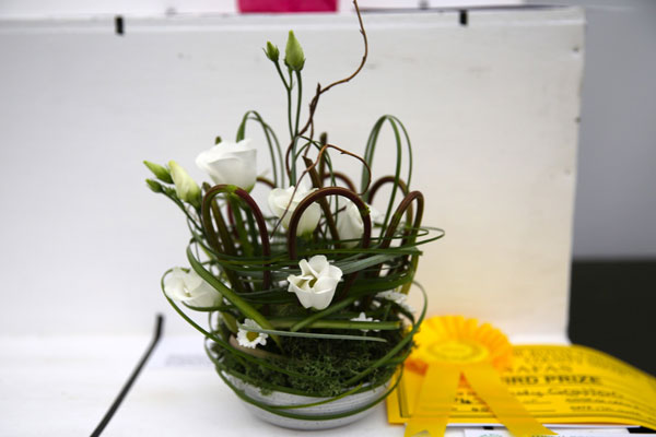 A Flower Clubs of Cheshire  entry in the All Wrapped class of the Royal County Cheshire Show 