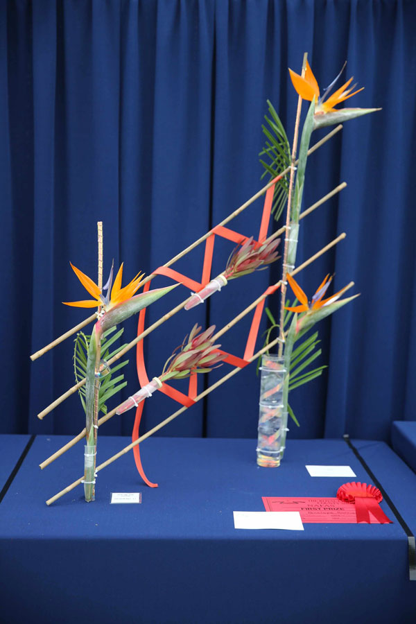 An entry in the A Dip Into the Tropics class at the 2024 Royal Cheshire Show, incorporating the Cheshire Area Show in the Theatre of Flowers