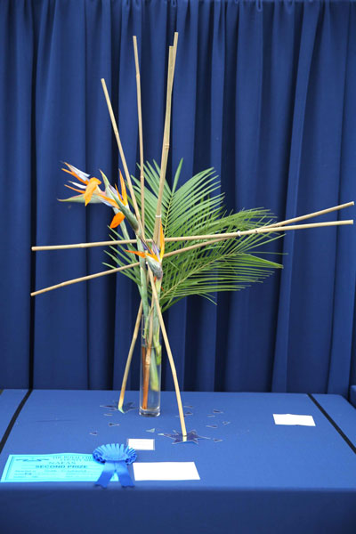 An entry in the 2024 Royal Cheshire Show, incorporating the Cheshire Area Show in the Theatre of Flowers