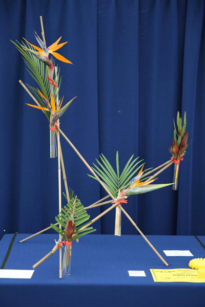 An entry in the 2024 Royal Cheshire Show, incorporating the Cheshire Area Show in the Theatre of Flowers