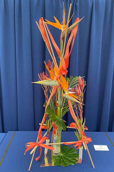 A Flower Clubs of Cheshire  entry in the A Dip Into the Tropics class of the Royal County Cheshire Show 