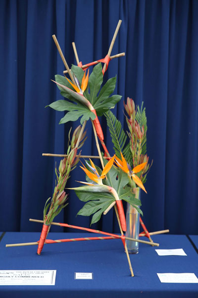 A Flower Clubs of Cheshire  entry in the A Dip Into the Tropics class of the Royal County Cheshire Show 