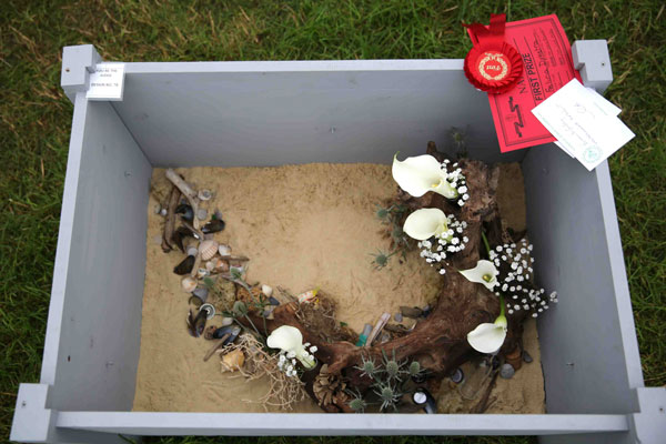 An entry in the Helter Skelter class at the 2023 Royal Cheshire Show, incorporating the Cheshire Area Show in the Theatre of Flowers