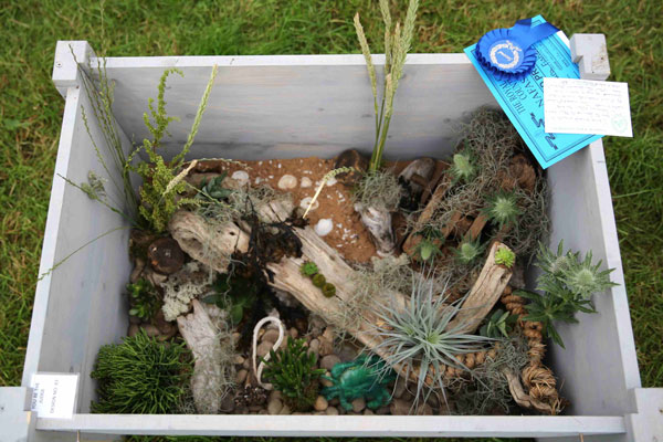 An entry in the 2023 Royal Cheshire Show, incorporating the Cheshire Area Show in the Theatre of Flowers