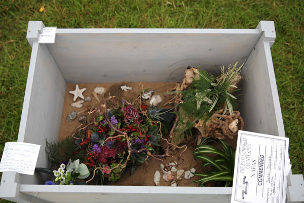 A Flower Clubs of Cheshire  entry in the A Dip Into the Tropics class of the Royal County Cheshire Show 