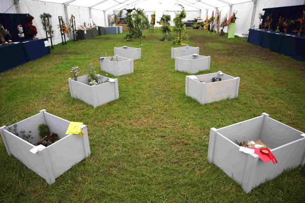 A Flower Clubs of Cheshire  entry in the A Dip Into the Tropics class of the Royal County Cheshire Show 